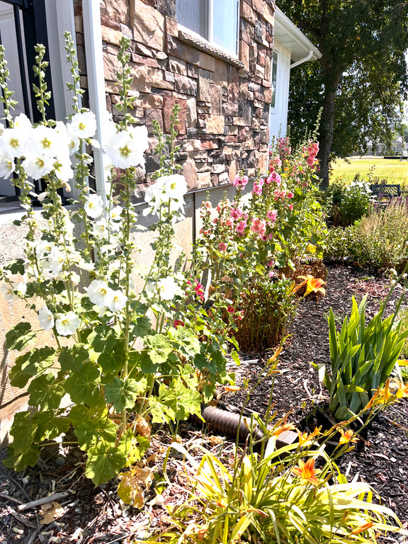 45 E 200 S Wellsville, UT 84339