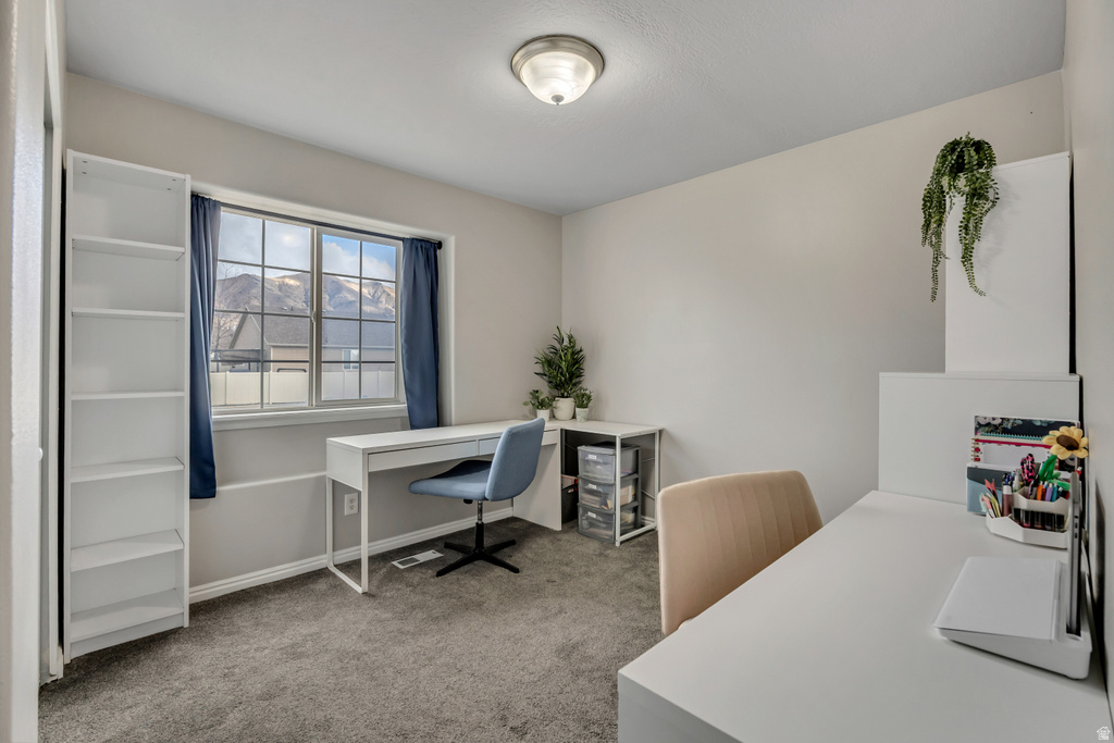 4313 N SADDLE HORN DR Eagle Mountain, UT 84005