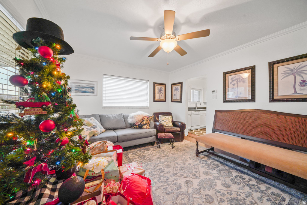 466 S 600 E Provo, UT 84606