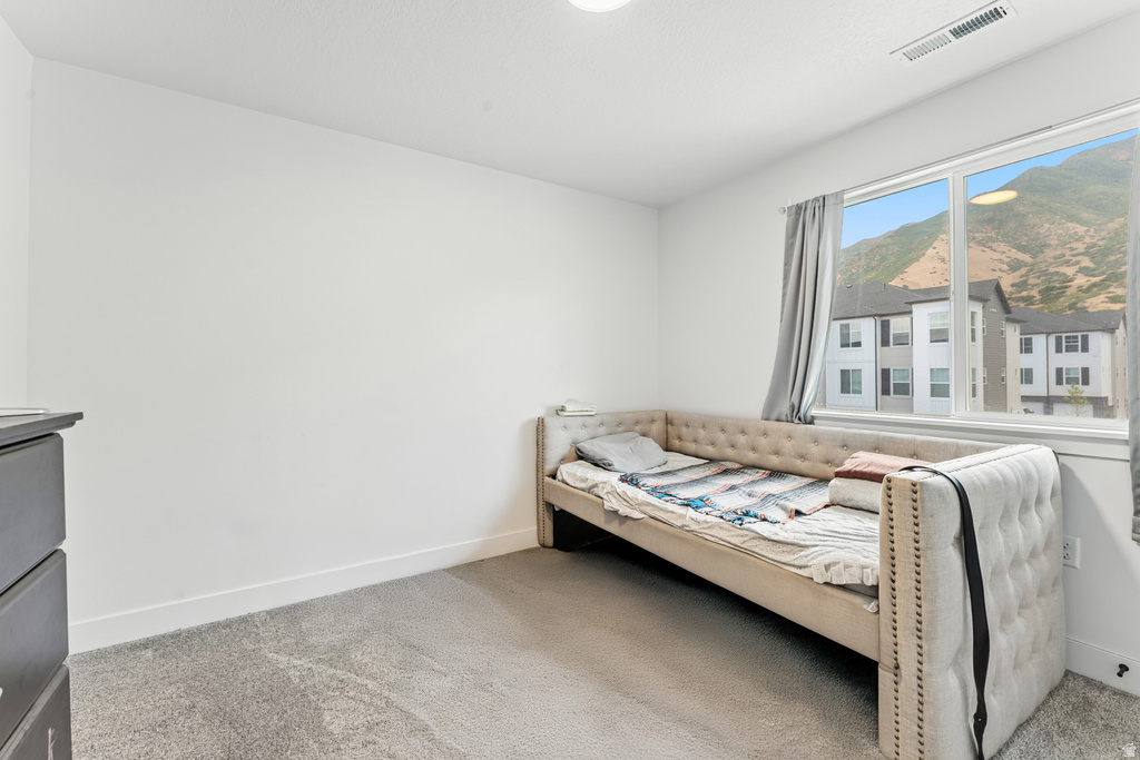 4804 S ALDER DR #116 Mapleton, UT 84664