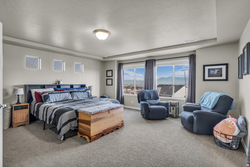 14179 S WEMBLEY CIR Herriman, UT 84096