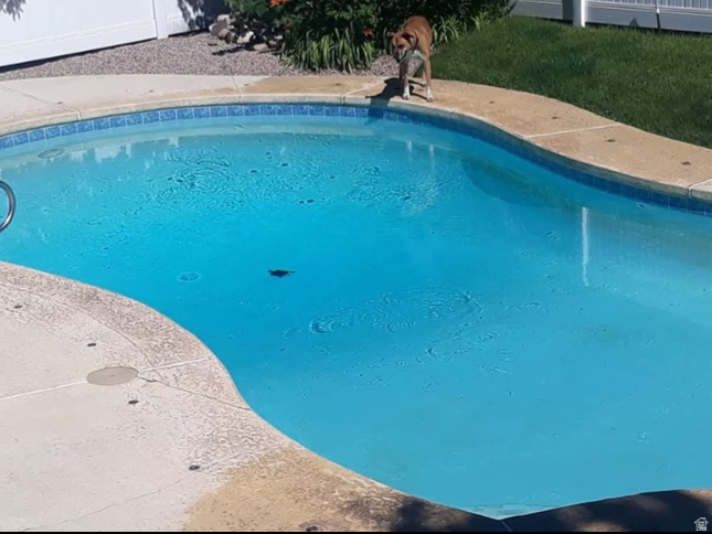 3533 E COUNTRY MANOR RD Cottonwood Heights, UT 84121