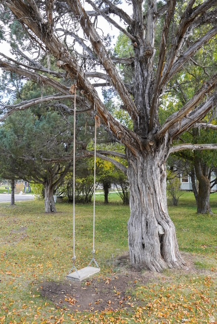 740 HOPKINS LN Soda Springs, ID 83276