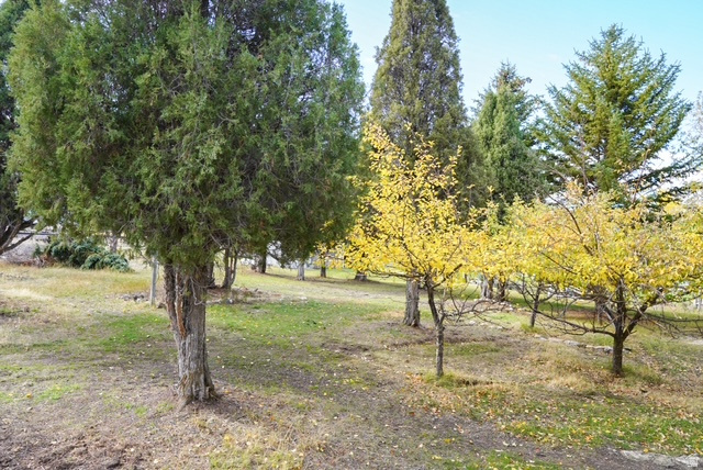 740 HOPKINS LN Soda Springs, ID 83276