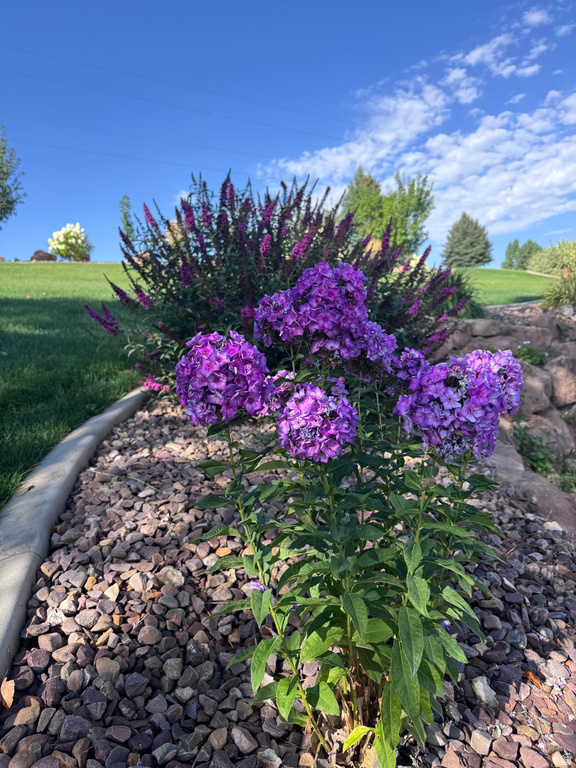 885 CANYON VIEW DR #8 Roosevelt, UT 84066