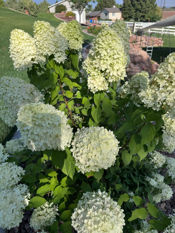 885 CANYON VIEW DR #8 Roosevelt, UT 84066