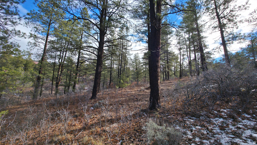 60 S WRAY MESA RD La Sal, UT 84530