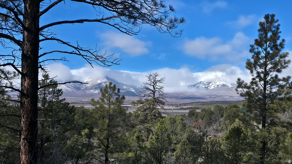 60 S WRAY MESA RD La Sal, UT 84530