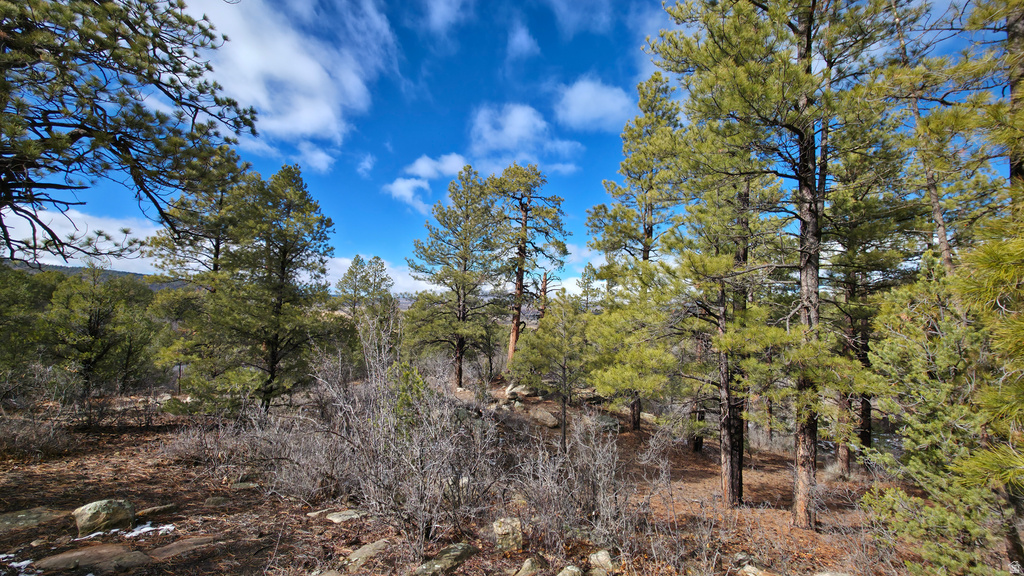 60 S WRAY MESA RD La Sal, UT 84530