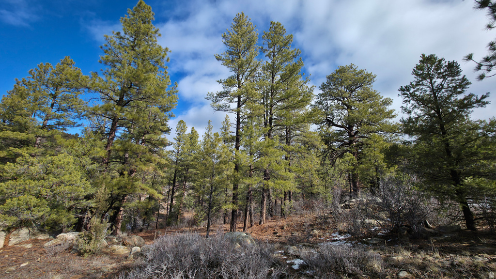 60 S WRAY MESA RD La Sal, UT 84530