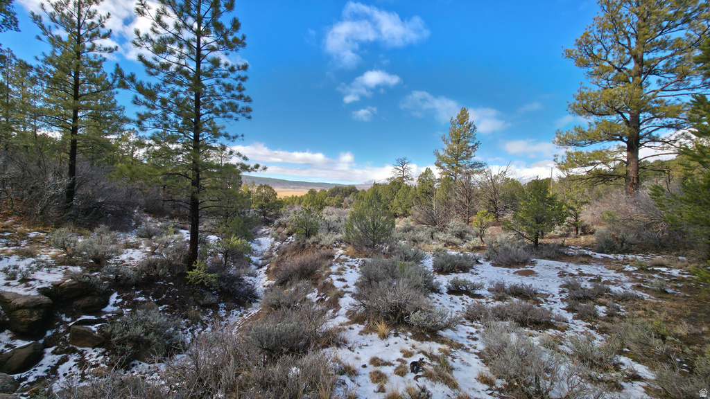 60 S WRAY MESA RD La Sal, UT 84530