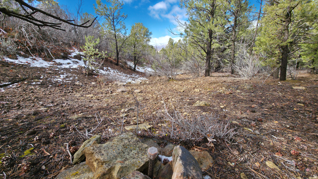 60 S WRAY MESA RD La Sal, UT 84530