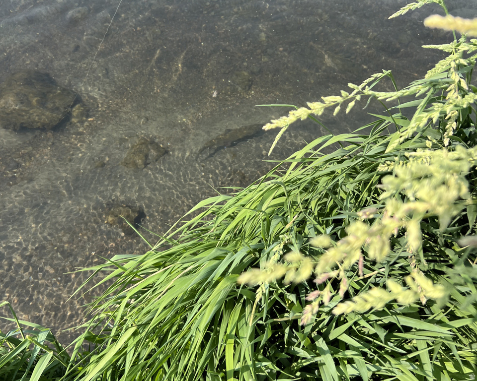 890 E HATCHERY RD Bicknell, UT 84715