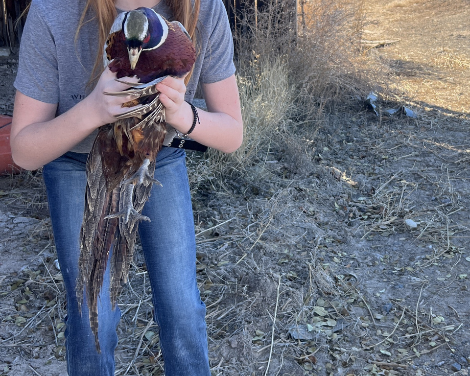 890 E HATCHERY RD Bicknell, UT 84715