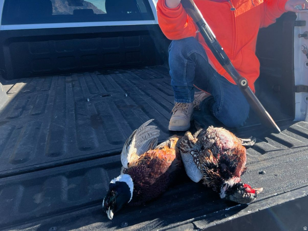 890 E HATCHERY RD Bicknell, UT 84715