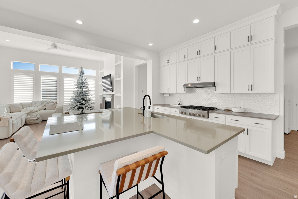 1627 W MAPLE LN #24 Riverton, UT 84065