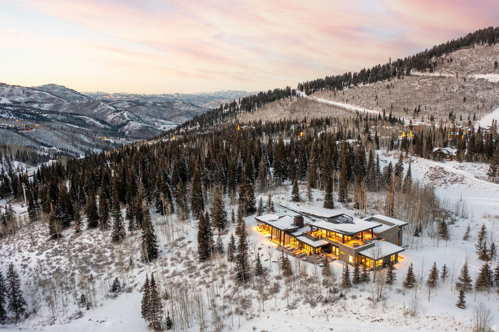 210 WHITE PINE CANYON RD Park City, UT 84060