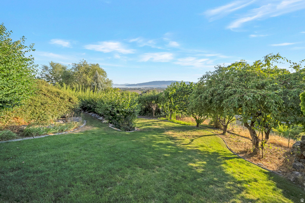 9157 N CANYON HEIGHTS DR Cedar Hills, UT 84062