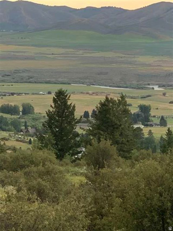 155  CARIBOU RD Soda Springs, ID 83276