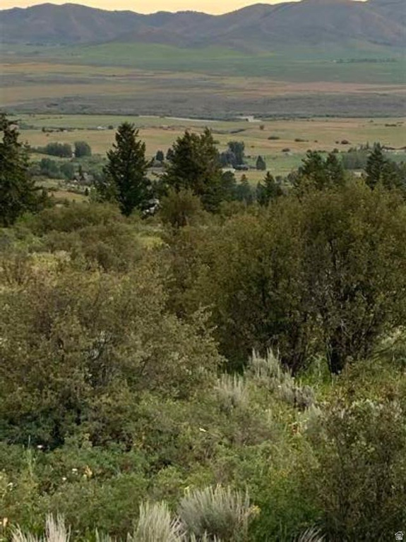 155  CARIBOU RD Soda Springs, ID 83276