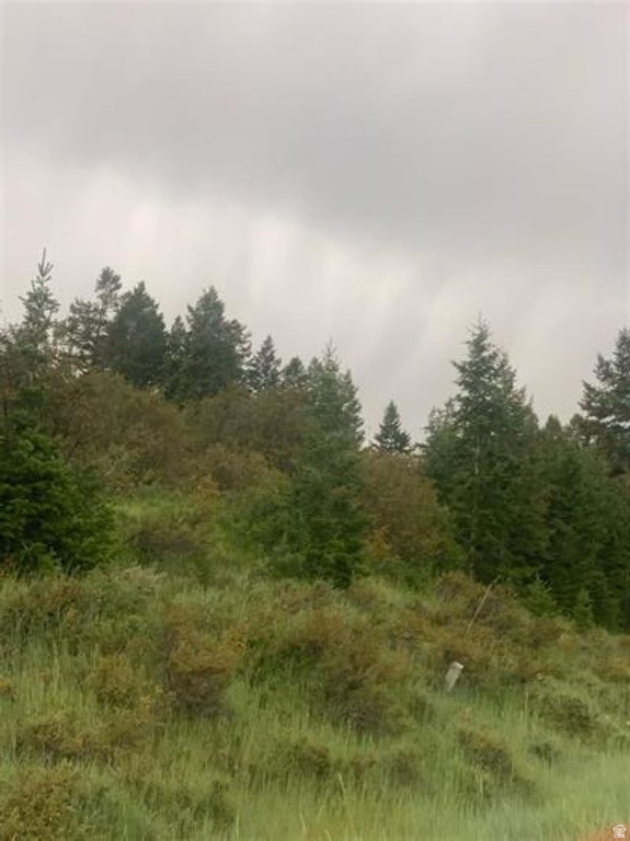 155  CARIBOU RD Soda Springs, ID 83276