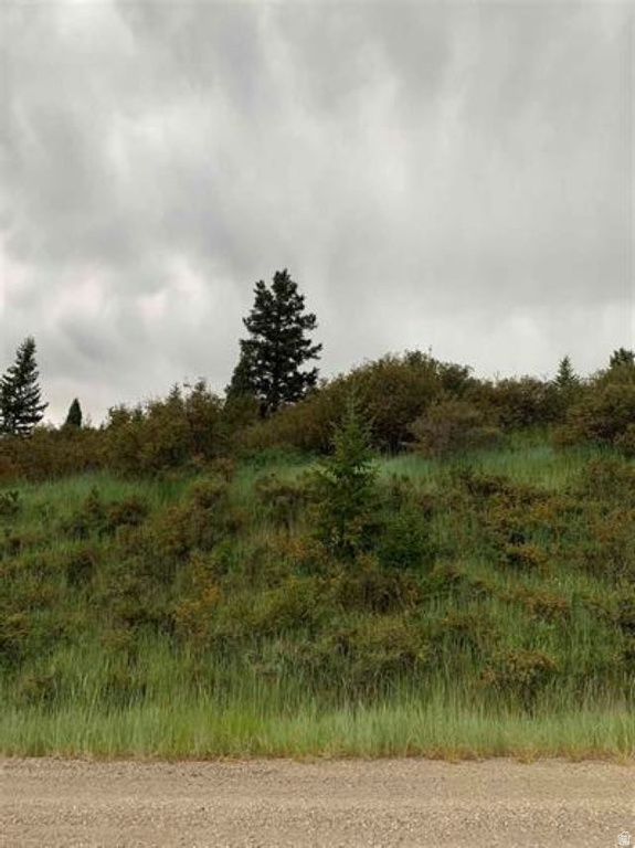 155  CARIBOU RD Soda Springs, ID 83276