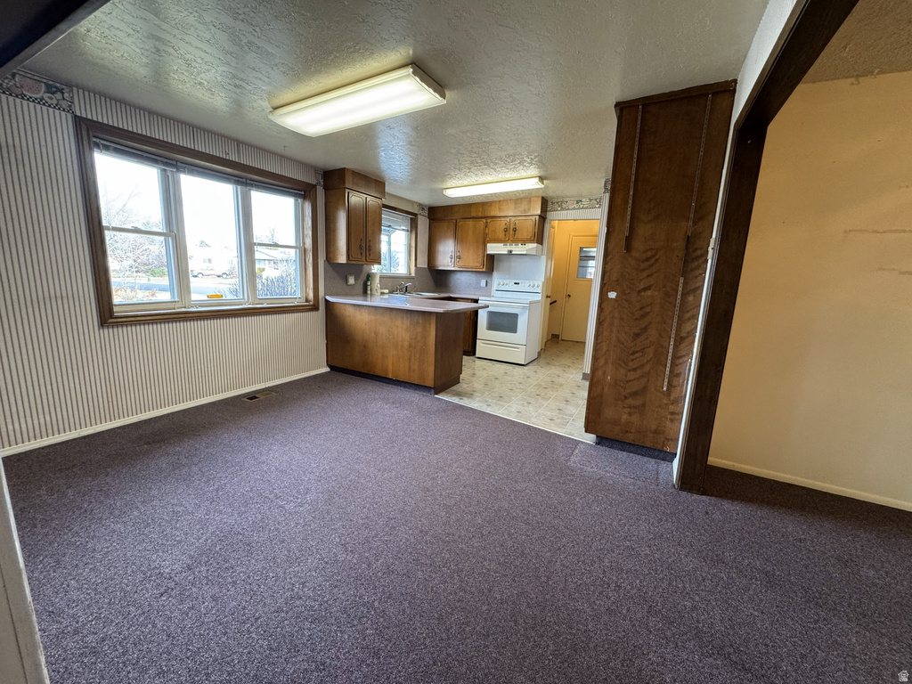 1098 E LORI WAY Murray, UT 84117