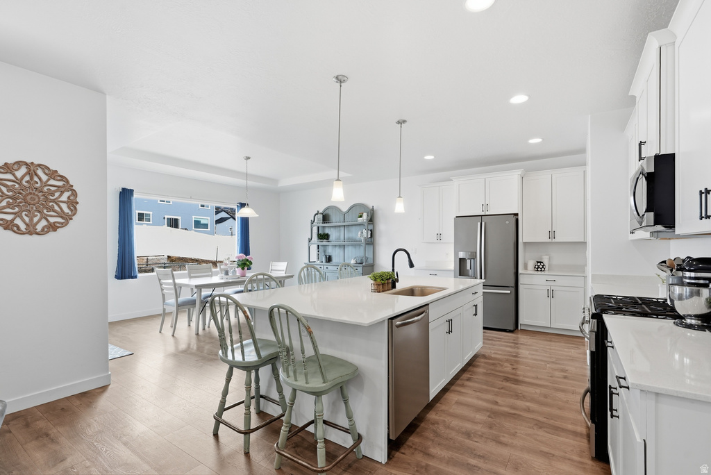 1155 S RED BARN DR Santaquin, UT 84655