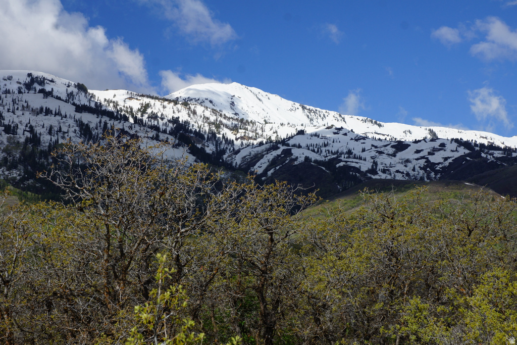 2265 E LAUREN LN Liberty, UT 84310