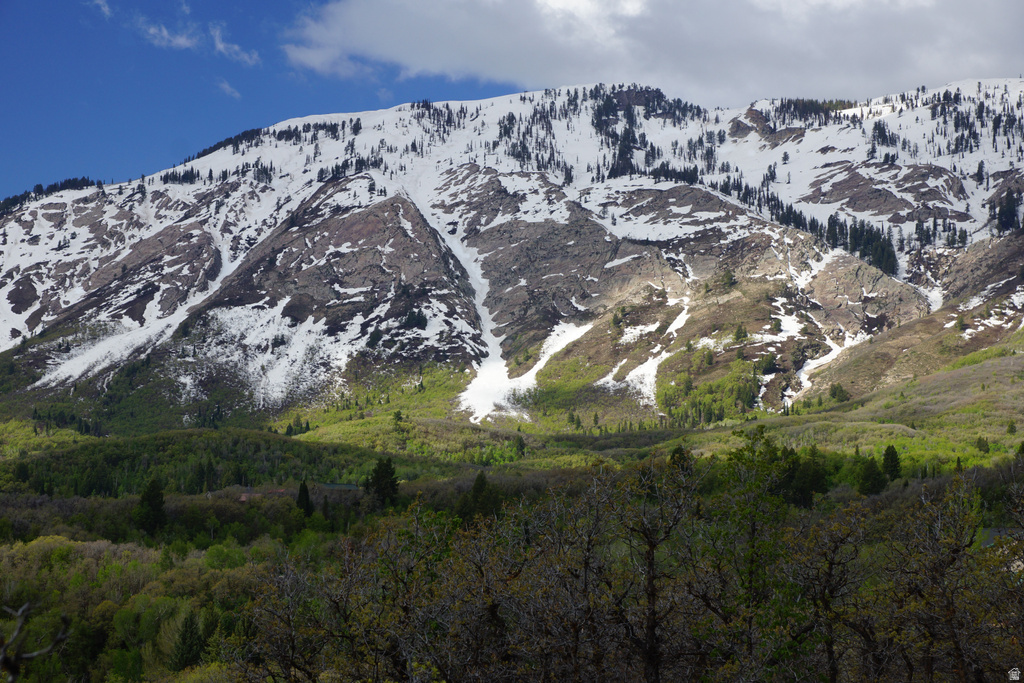 2265 E LAUREN LN Liberty, UT 84310