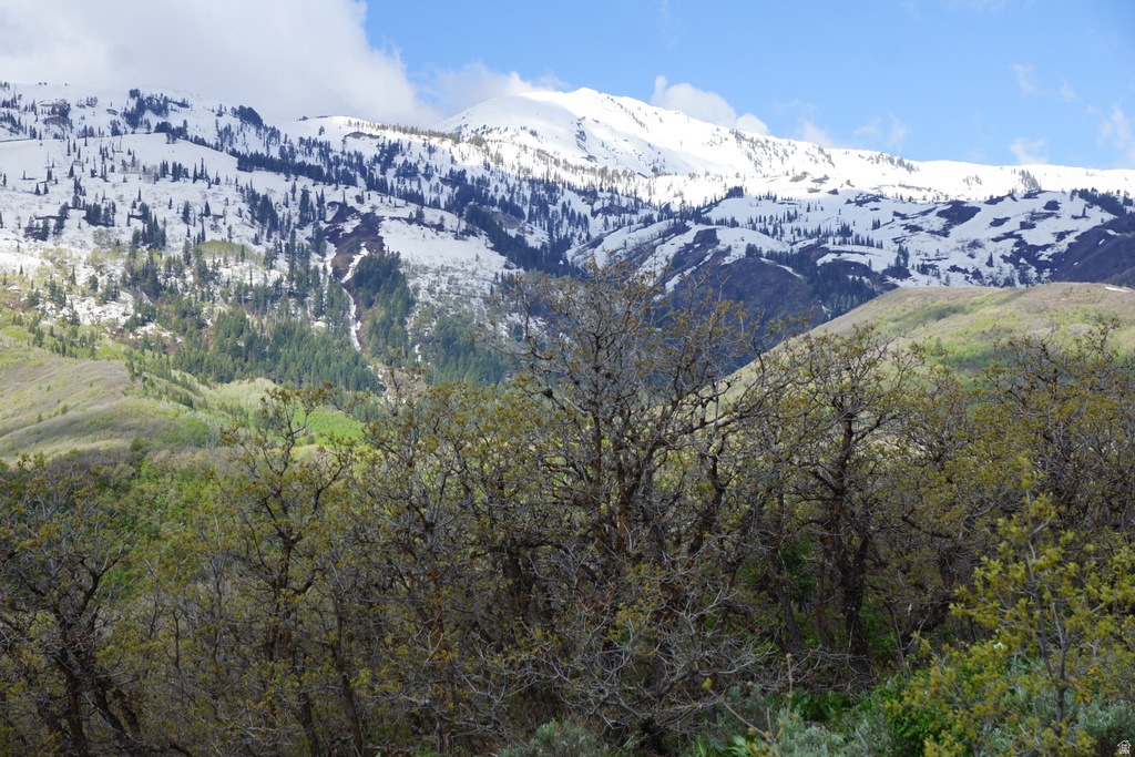 2265 E LAUREN LN Liberty, UT 84310