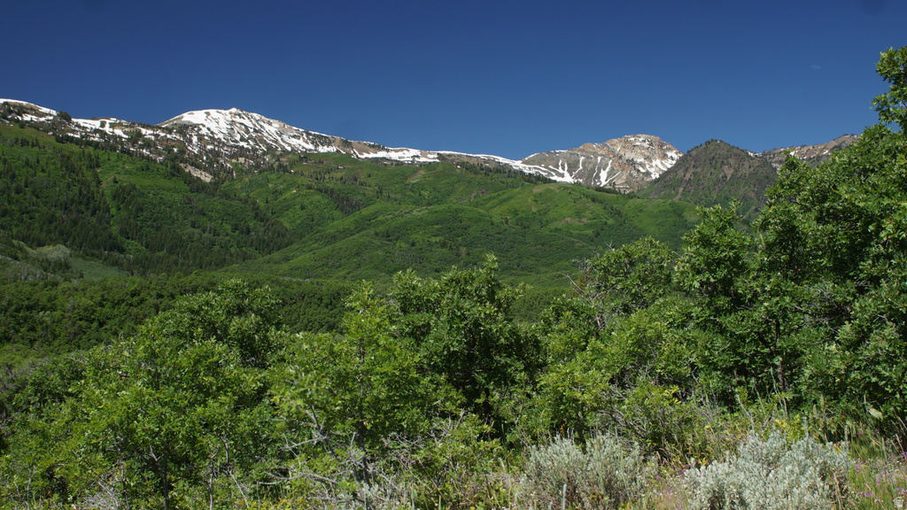 2265 E LAUREN LN Liberty, UT 84310