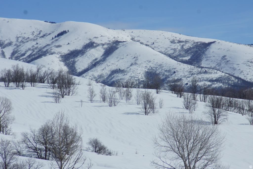 2265 E LAUREN LN Liberty, UT 84310