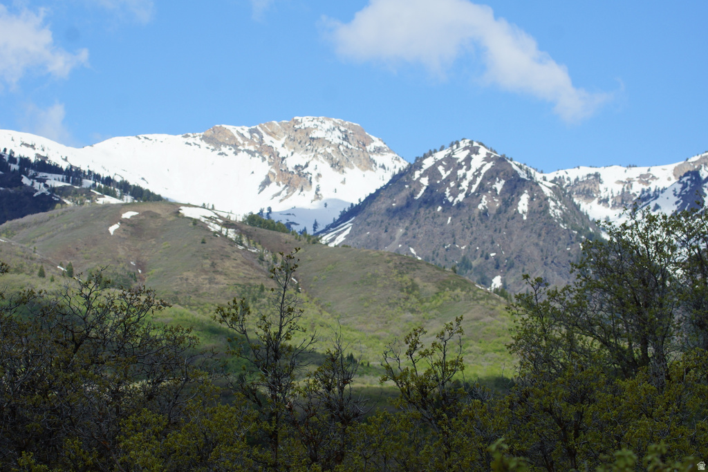 2265 E LAUREN LN Liberty, UT 84310