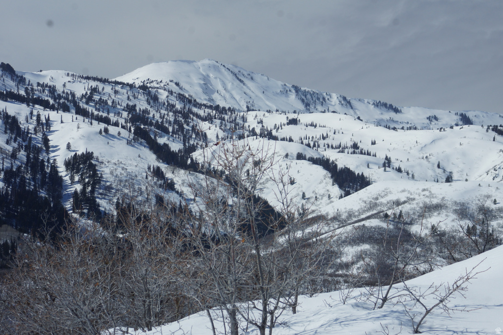 2265 E LAUREN LN Liberty, UT 84310