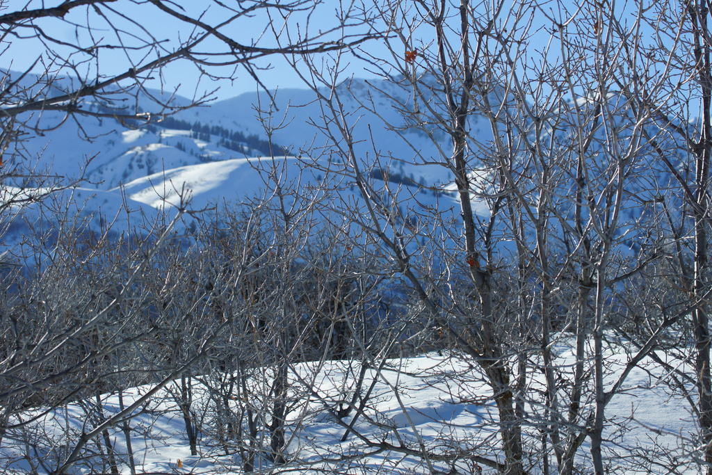 2265 E LAUREN LN Liberty, UT 84310