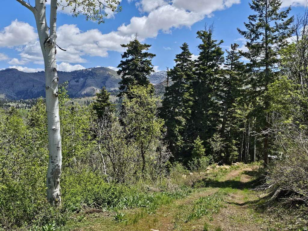 27  PINE RIDGE RD Mt Pleasant, UT 84647