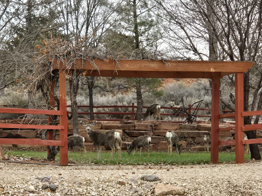 931 S HILLSIDE DR Kanab, UT 84741