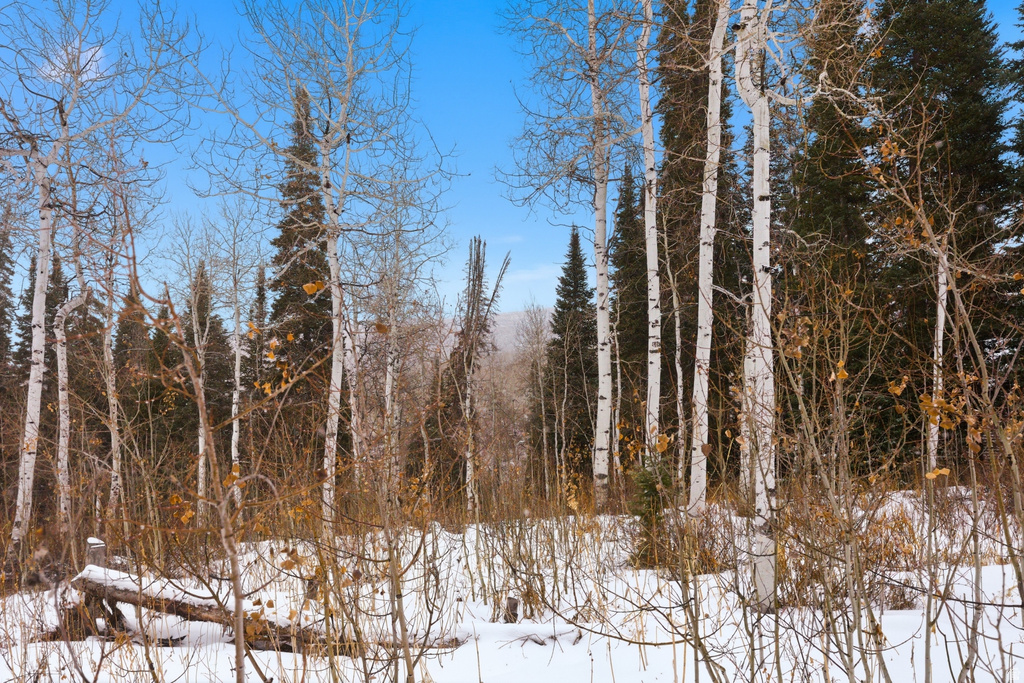 11569 E ASPEN RD Heber City, UT 84032