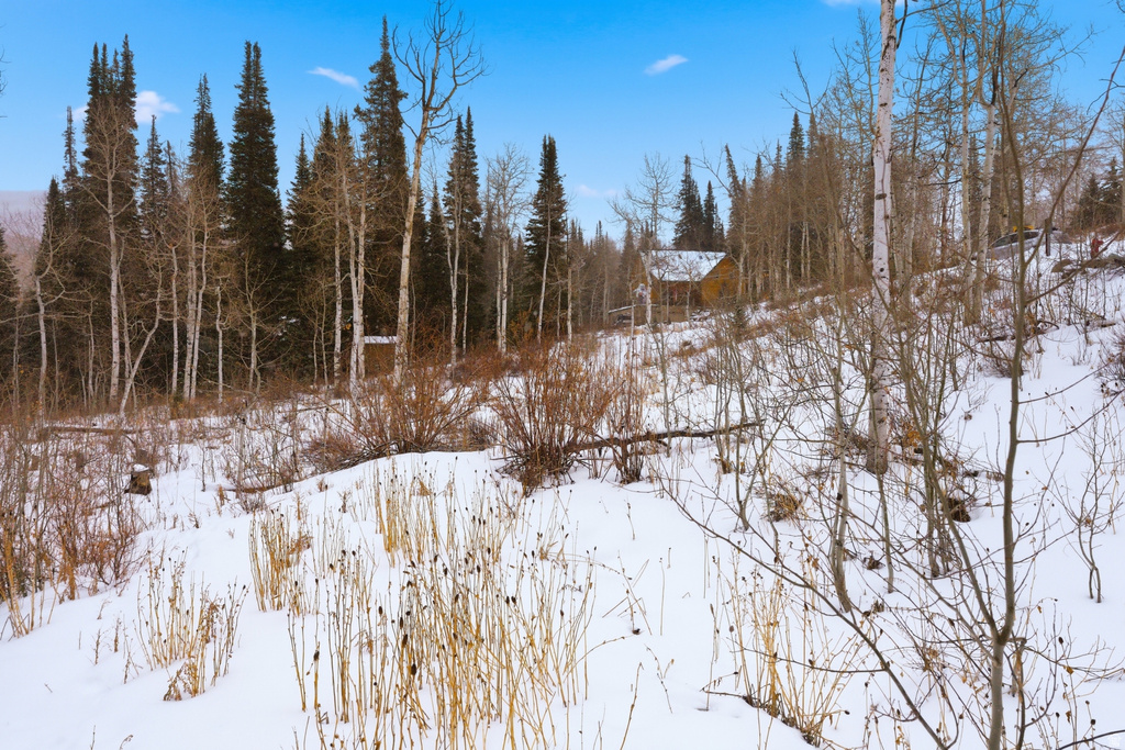 11569 E ASPEN RD Heber City, UT 84032