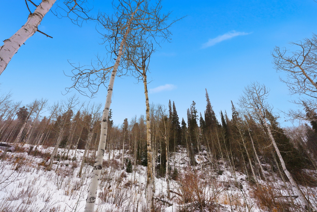 11569 E ASPEN RD Heber City, UT 84032