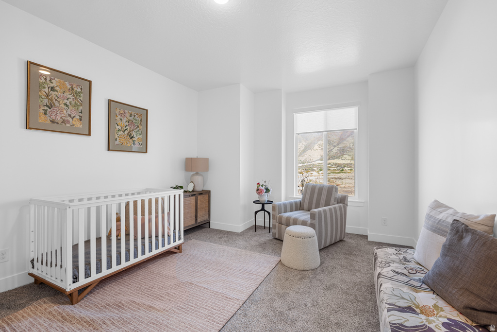 2824 S EAGLE DR #09 Spanish Fork, UT 84660