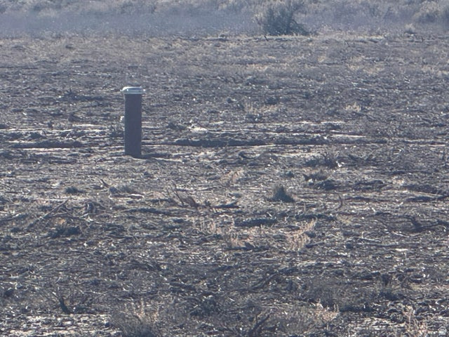 5  E-1030-0062-0000 Newcastle, UT 84756