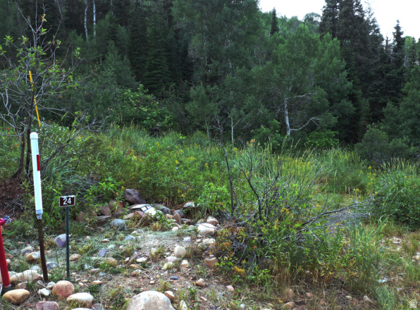 15412 E ASPEN CIR Huntsville, UT 84317