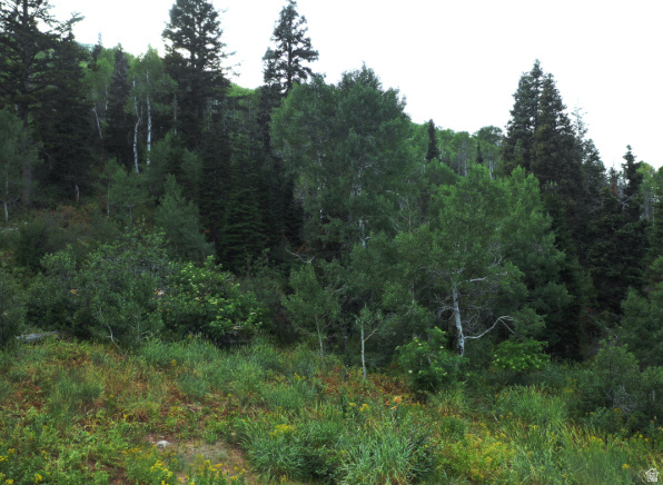 15412 E ASPEN CIR Huntsville, UT 84317