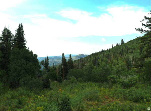 15412 E ASPEN CIR Huntsville, UT 84317