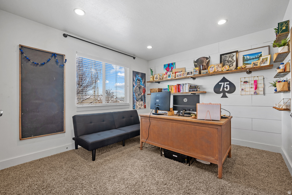 1137 S 925 E Salem, UT 84653