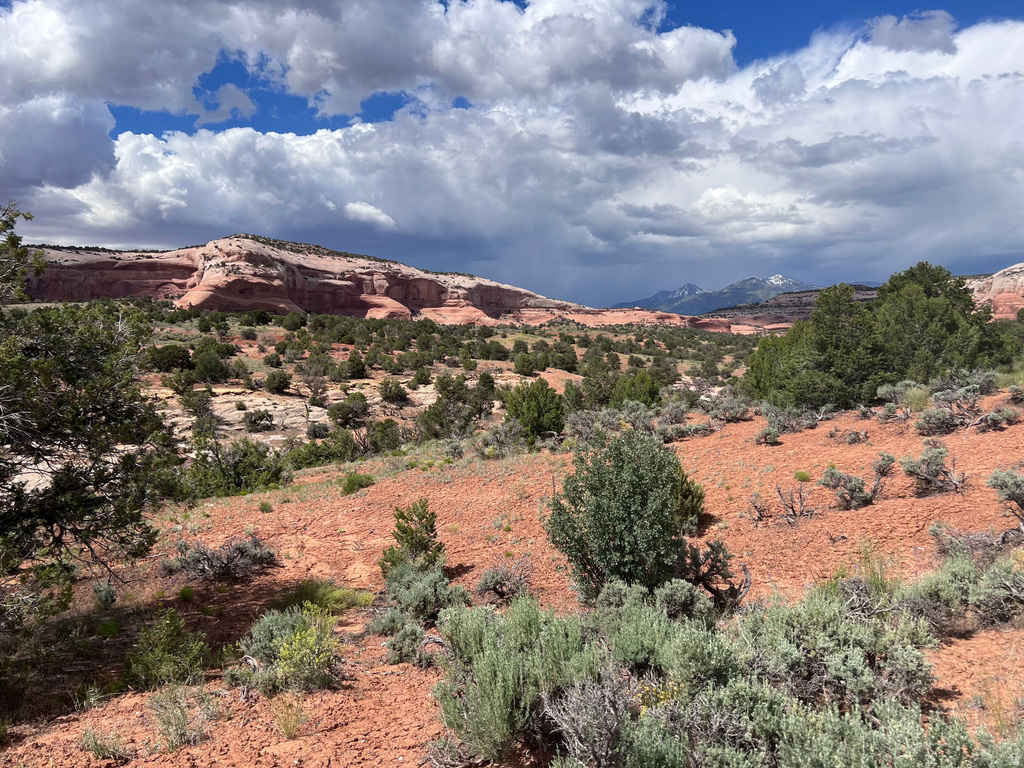 49 W RYAN CT Moab, UT 84532