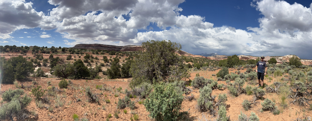 49 W RYAN CT Moab, UT 84532