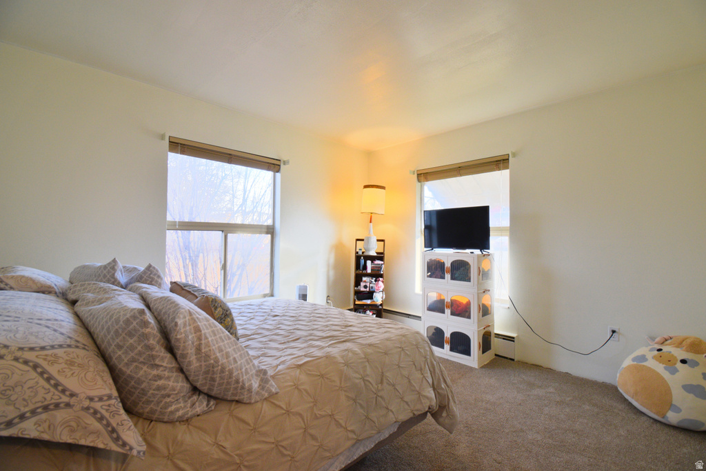 140 S 100 E Mt Pleasant, UT 84647